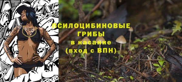 бутират Каменногорск