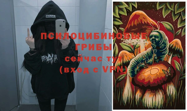 бутират Каменногорск