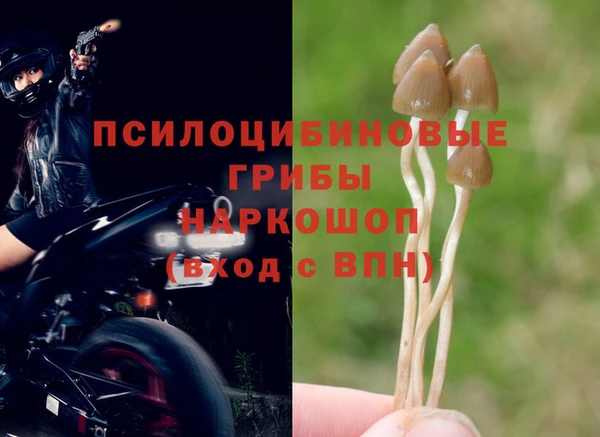 a pvp Каменка