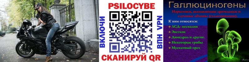 Купить  Бикин  Псилоцибиновые грибы GOLDEN TEACHER 
